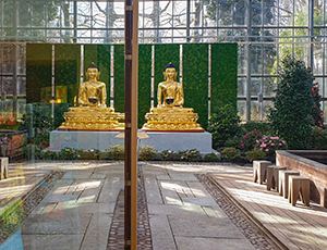 Vorschaubild: Friedensbuddha in botanika spiegelt sich im Glas